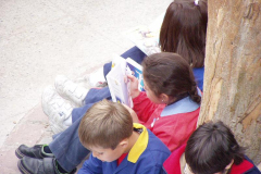 otras_P1010033.jpg_backup.jpg