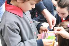 otras_IMG_7708
