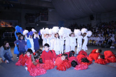 IMG_0160-6431