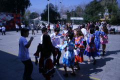 IMG_0316-6449