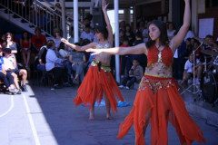 IMG_8850__Copiar_-3083