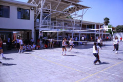 IMG_8913__Copiar_-3093