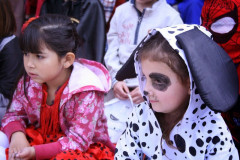 IMG_8968__Copiar_-2988