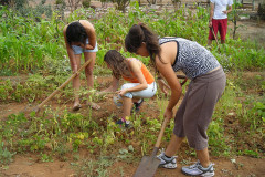 huentelauquen07-2001