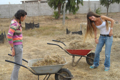 huentelauquen10-2004