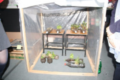 IMG_1877__Copiar_-1294