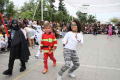 IMG_7348__Copiar_-1004