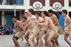 IMG_7400__Copiar_-1020