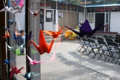 IMG_7502__Copiar_-1048