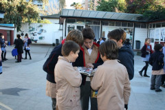 IMG_0192__Copiar_-506