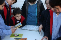 IMG_0194__Copiar_-508