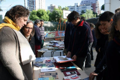 IMG_0206__Copiar_-517