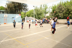 IMG_3656__Copiar_-3774