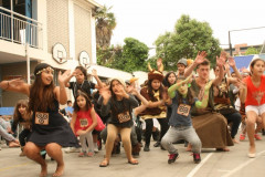 IMG_3990__Copiar_-3898