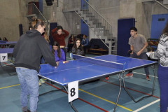 DSC9141__Copiar_-4950