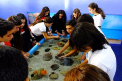 DSCF1732__Copiar_-4768