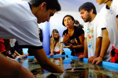 DSCF1736__Copiar_-4769