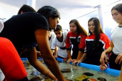 DSCF1745__Copiar_-4770