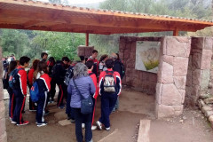 Fotos_febrero_junio_2017_262__Copiar_-4286