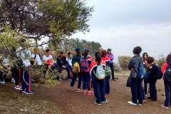 Fotos_febrero_junio_2017_275__Copiar_-4292