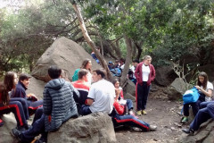 Fotos_febrero_junio_2017_284__Copiar_-4296