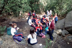 Fotos_febrero_junio_2017_285__Copiar_-4297