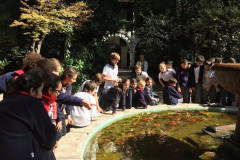 IMG_1936__Copiar_-4366