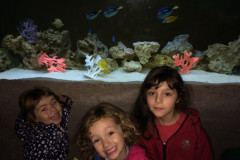 IMG_4495-4671
