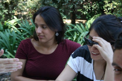 IMG_5387__Copiar_-4256