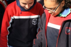 IMG_5781__Copiar_-4322