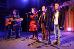 IMG_6784__Copiar_-4619