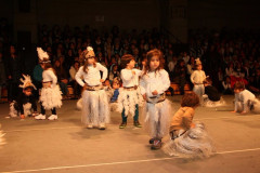 IMG_7201__Copiar_-4694