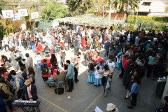 IMG_7386__Copiar_-4727