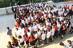 IMG_2146__Copiar_-7050