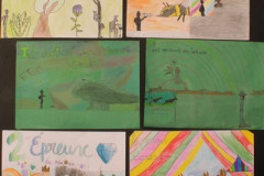 IMG_2513__Copiar_-7099