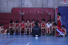 IMG_2589__Copiar_-7197