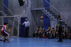 IMG_2593__Copiar_-7198