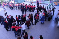 IMG_2623__Copiar_-7169