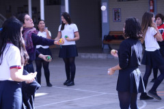 IMG_2698__Copiar_-7184