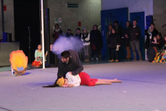 IMG_3403__Copiar_-7307