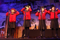 IMG_4554__Copiar_-7372