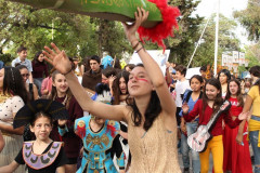 IMG_6528__Copiar_-7689