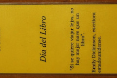 IMG_0098__Copiar_-8248