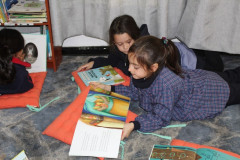 IMG_0143__Copiar_-8260