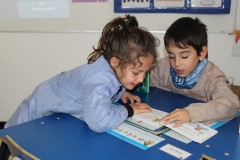 IMG_0150__Copiar_-8265