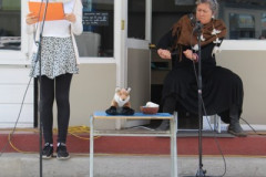 IMG_0213__Copiar_-8302