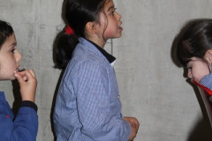 IMG_0224__Copiar_-8306