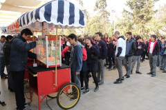 IMG_0231__Copiar_-8310