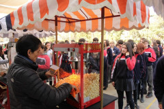 IMG_0232__Copiar_-8311