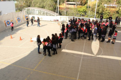 IMG_0253__Copiar_-8314